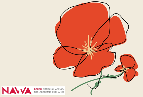 Cursos de verano en Polonia